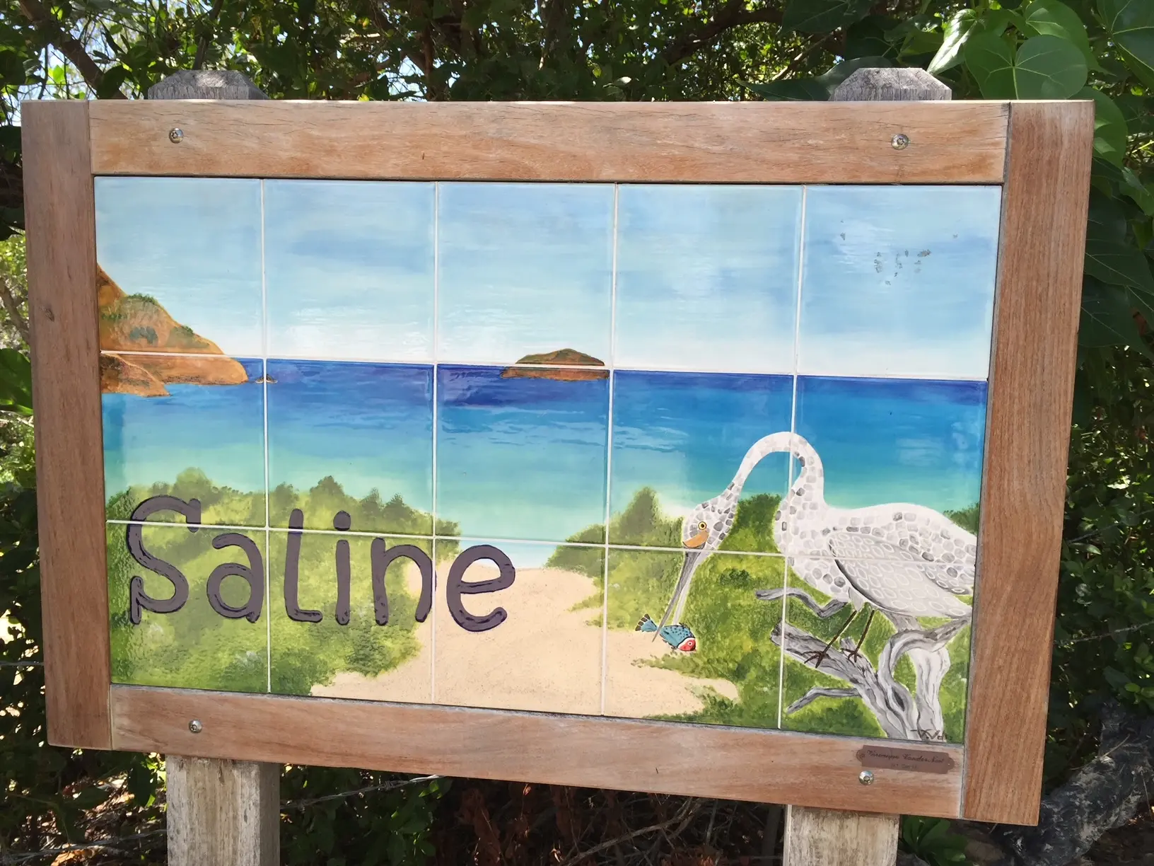 Saline Beach